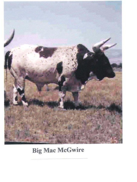 Big Mac McGwire
