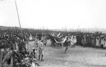 African tribal life with watusi cattle