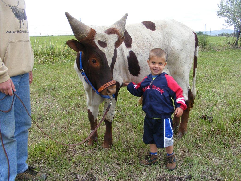 Gilbert Grandson Kade Richens with his upcoming young bull