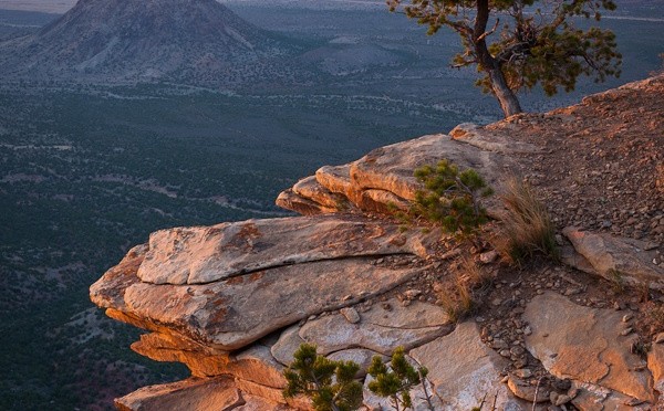 The Gilbert Family Business: Bar G Ranch