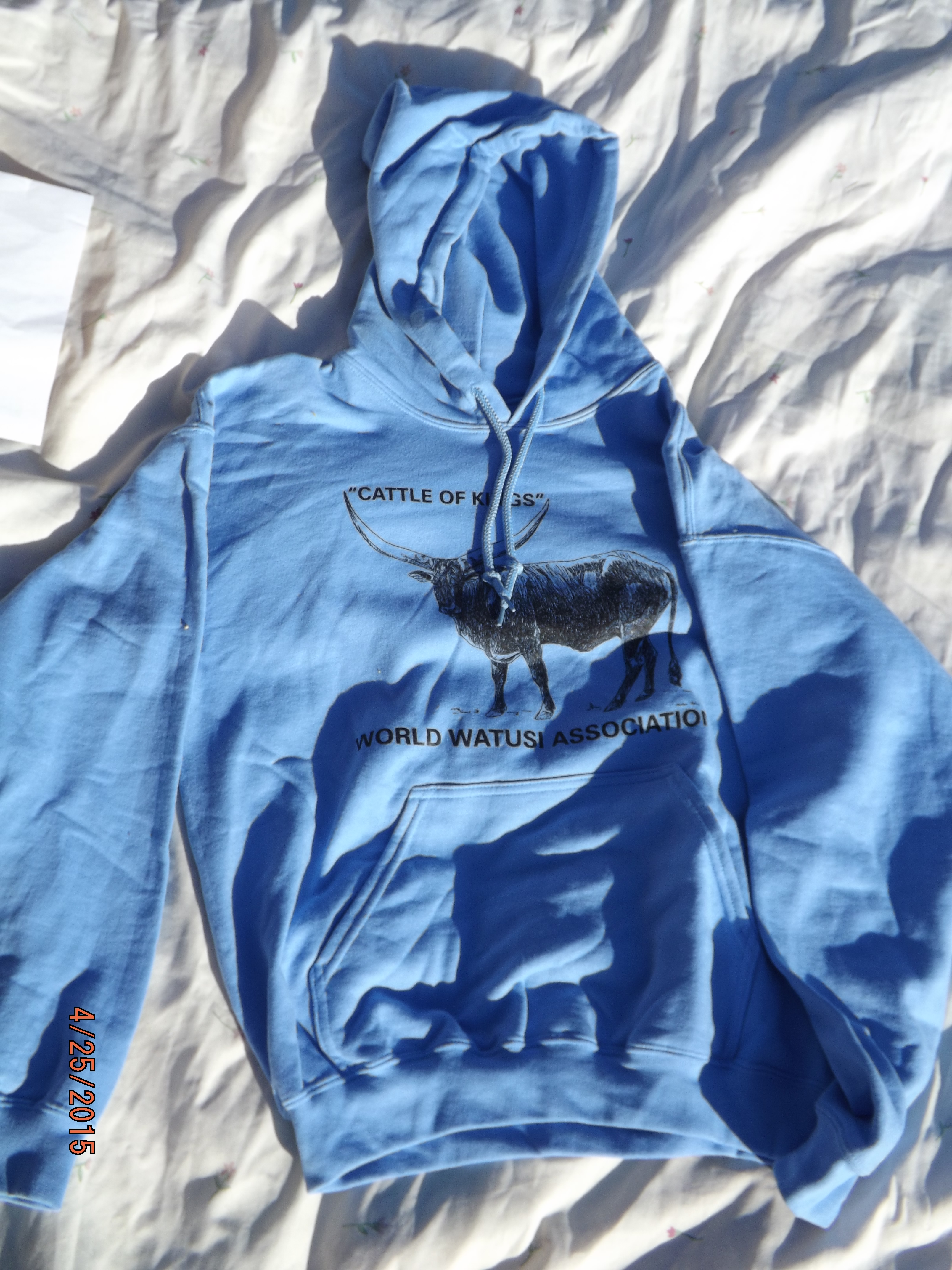 Hooded Sweatshirt - Blue Large - BHL-004 - $20.00