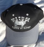 Embroidered Cap Silver/gray - RGP-011 $15.00